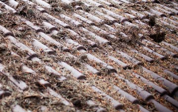 Stewton roof cleaning companies