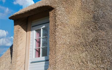 Stewton thatch roof disadvantages