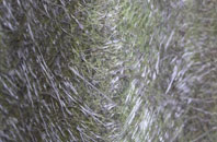 Stewton fibreglass roof work